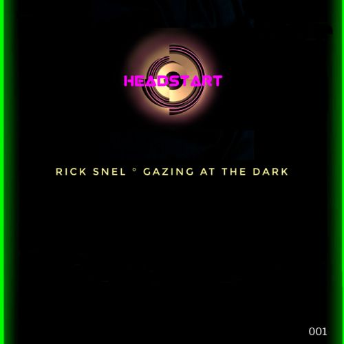 Rick Snel - Gazing at the dark