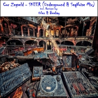Cor Zegveld - Skeer